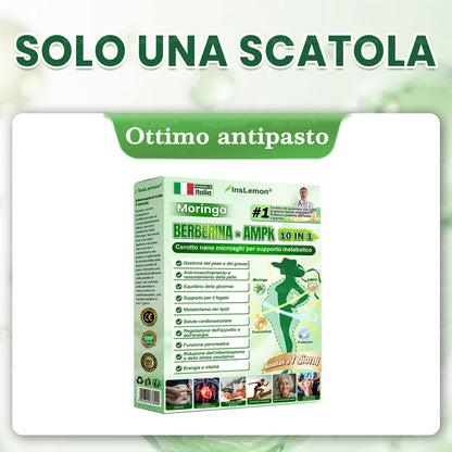 ✨𝐈𝐧𝐬𝐋𝐞𝐦𝐨𝐧® Patch Nano-Microaghi 10-in-1 per il Supporto Metabolico — Una volta al giorno, risultati visibili in 7 giorni 🌸(Supporta la gestione del peso, tonicità della pelle,equilibrio della glicemia, qualità del sonno)